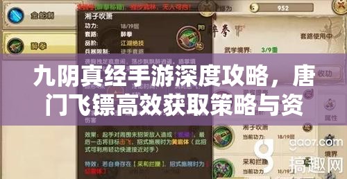 九阴真经手游深度攻略，唐门飞镖高效获取策略与资源管理技巧