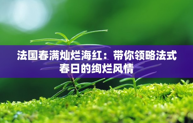 法国春满灿烂海红：带你领略法式春日的绚烂风情