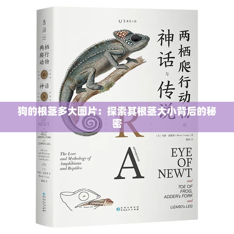 狗的根茎多大图片：探索其根茎大小背后的秘密