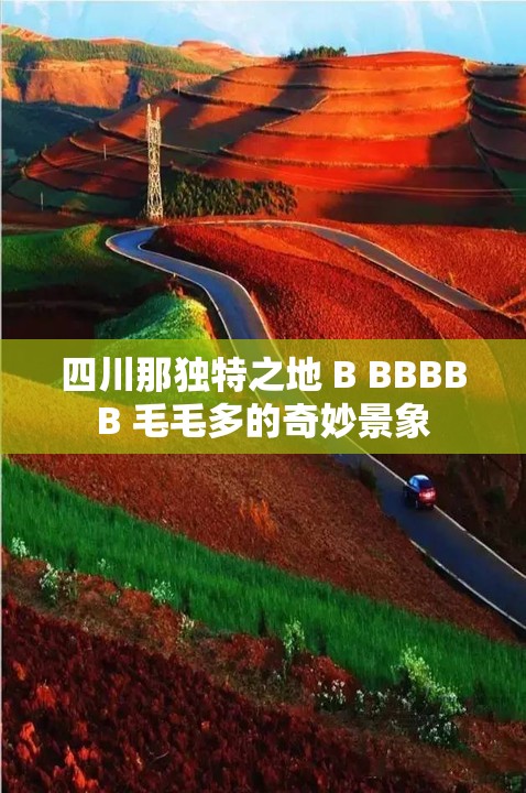 四川那独特之地 B BBBBB 毛毛多的奇妙景象