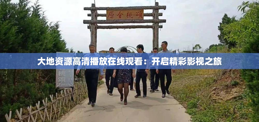 大地资源高清播放在线观看：开启精彩影视之旅