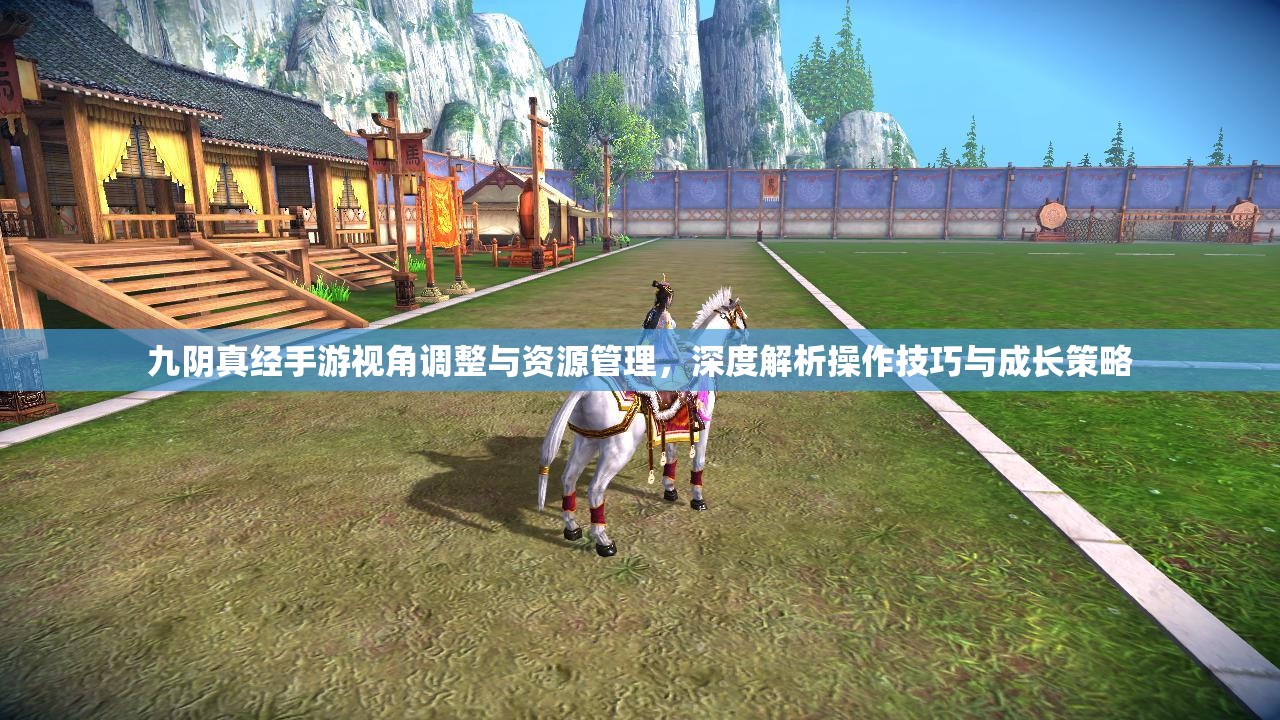 九阴真经手游视角调整与资源管理，深度解析操作技巧与成长策略