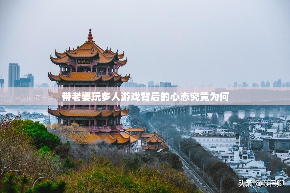 带老婆玩多人游戏背后的心态究竟为何