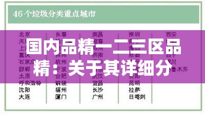 国内品精一二三区品精：关于其详细分类与特点介绍