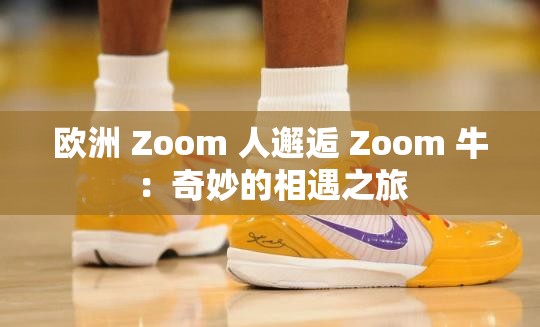 欧洲 Zoom 人邂逅 Zoom 牛：奇妙的相遇之旅
