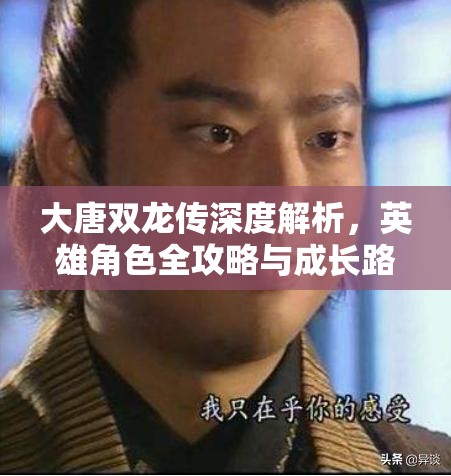 大唐双龙传深度解析，英雄角色全攻略与成长路径指南