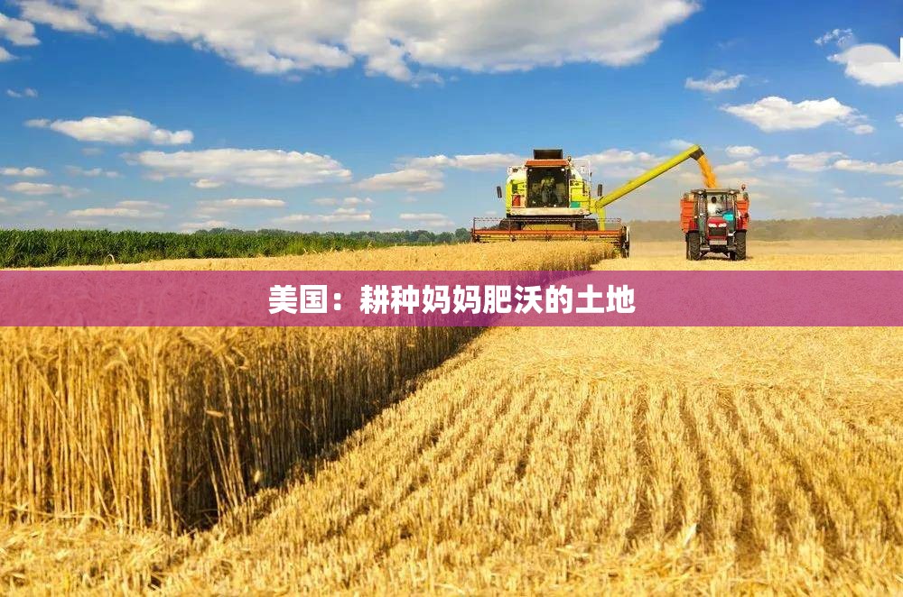 美国：耕种妈妈肥沃的土地