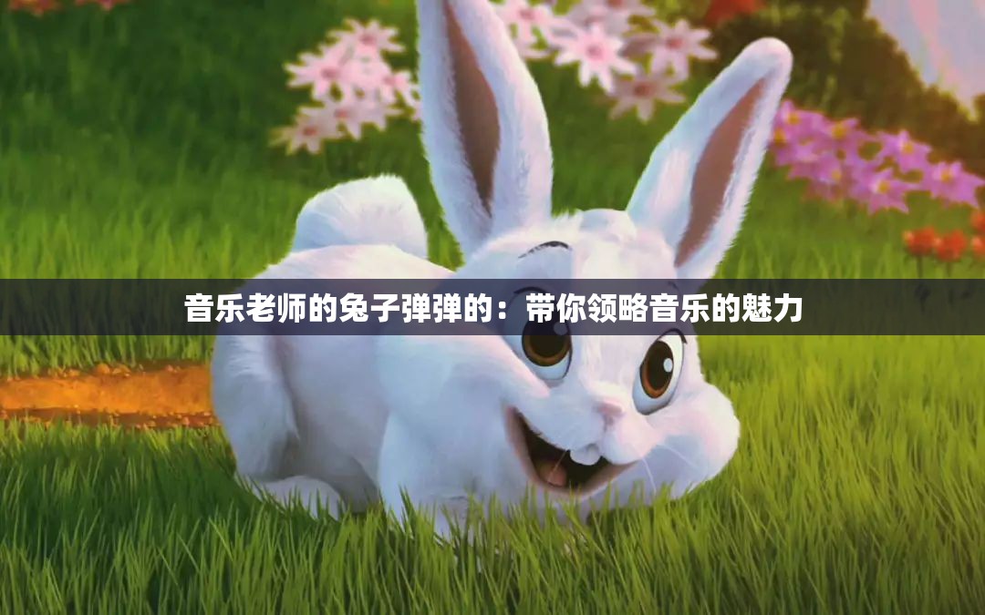 音乐老师的兔子弹弹的：带你领略音乐的魅力