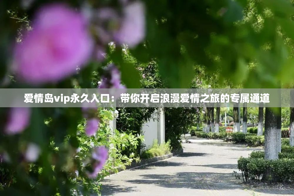爱情岛vip永久入口：带你开启浪漫爱情之旅的专属通道
