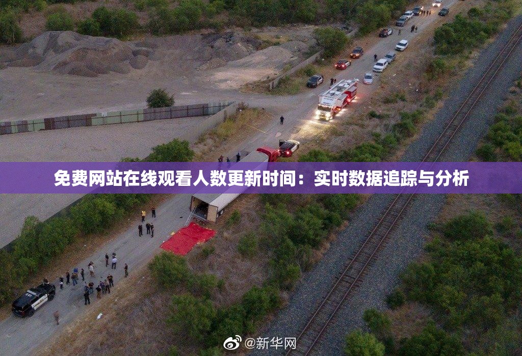 免费网站在线观看人数更新时间：实时数据追踪与分析