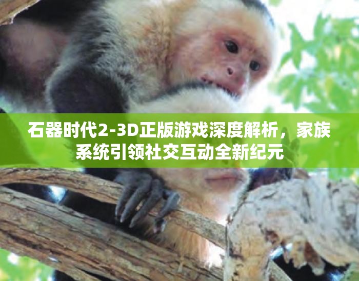 石器时代2-3D正版游戏深度解析，家族系统引领社交互动全新纪元