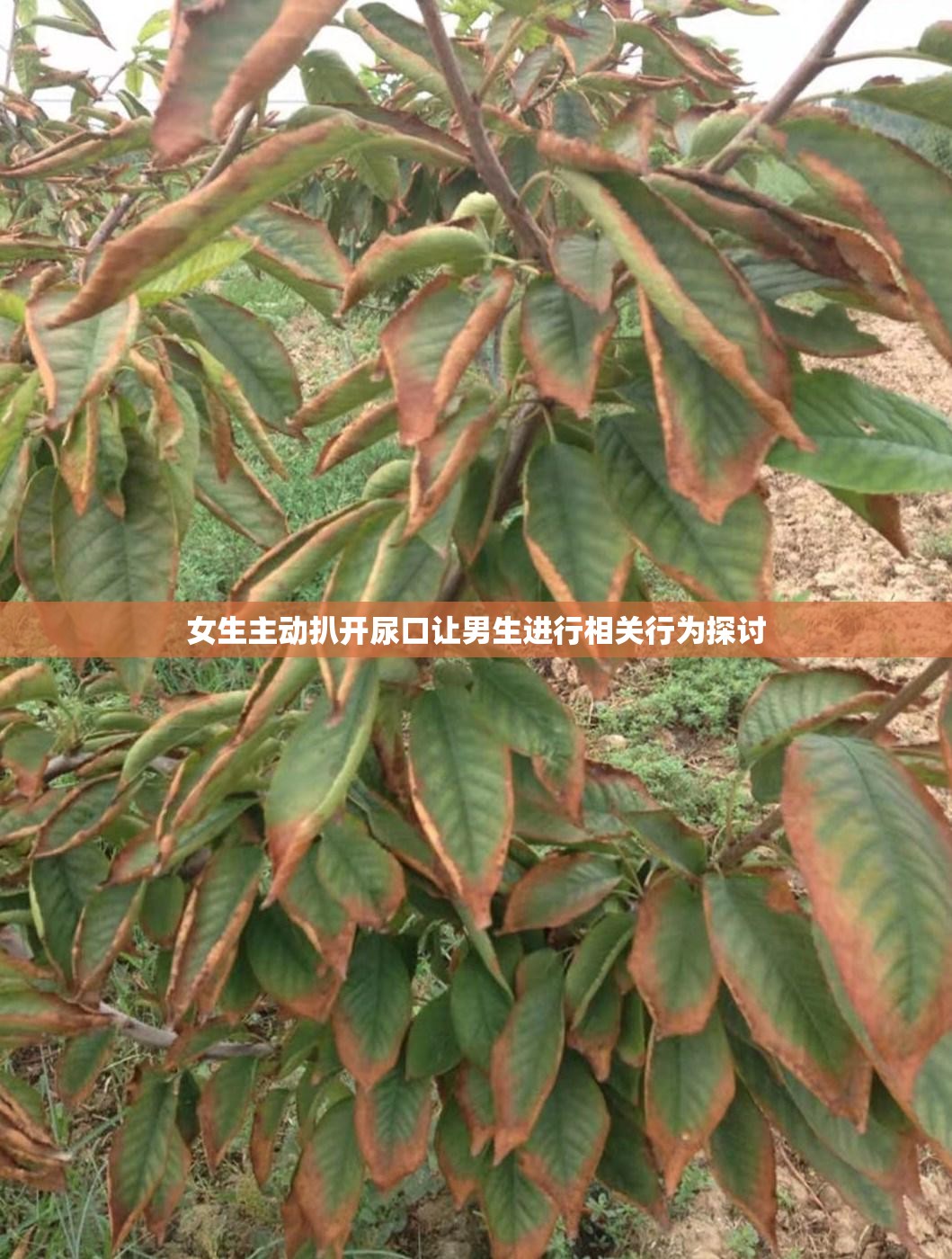 女生主动扒开尿口让男生进行相关行为探讨