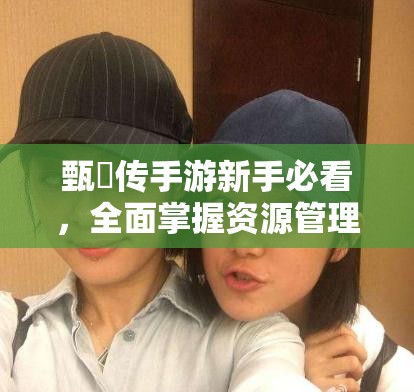 甄嬛传手游新手必看，全面掌握资源管理的艺术与策略指南