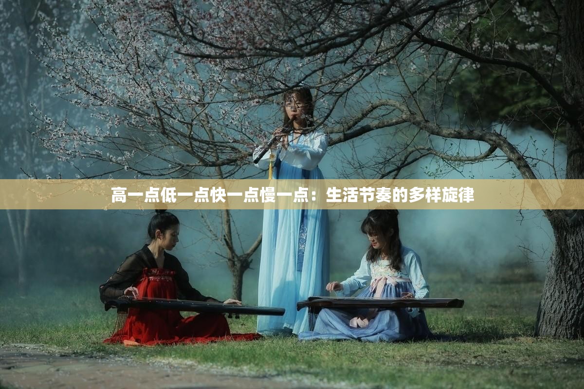 高一点低一点快一点慢一点：生活节奏的多样旋律