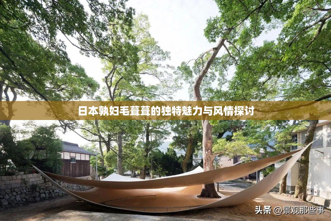 日本孰妇毛葺葺的独特魅力与风情探讨