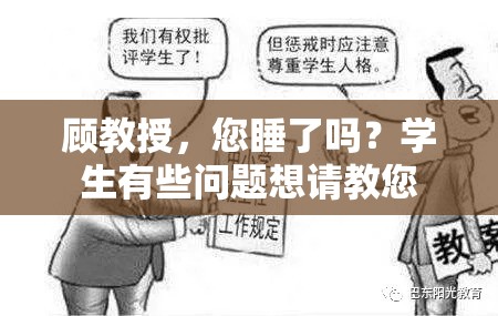 顾教授，您睡了吗？学生有些问题想请教您