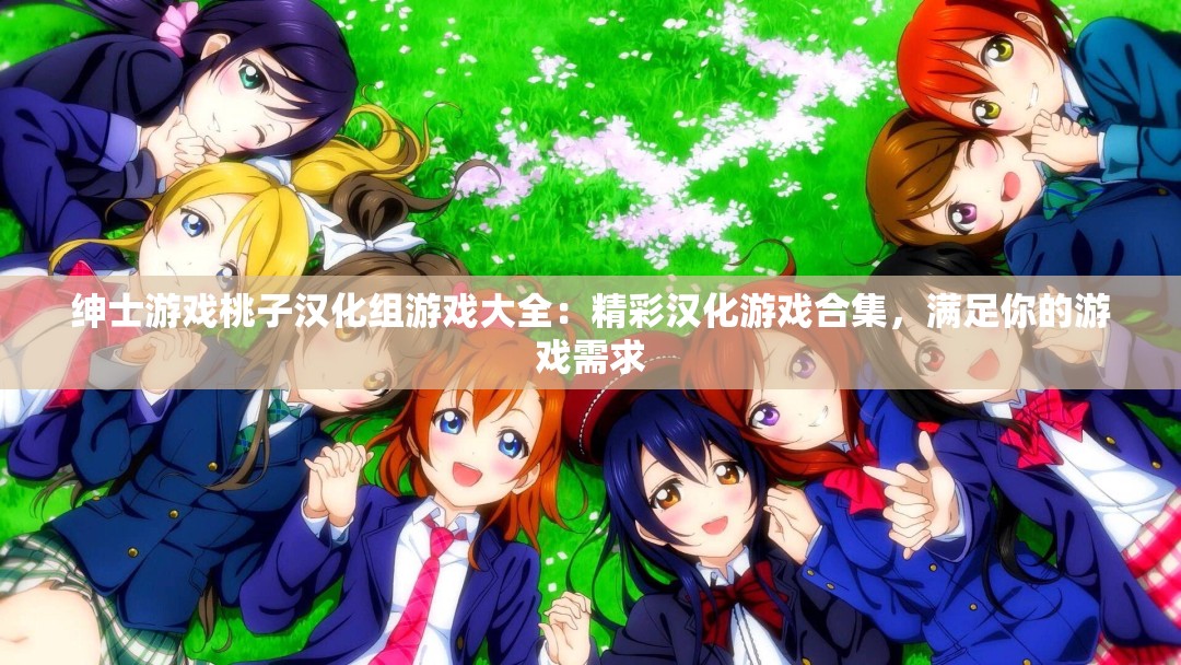 绅士游戏桃子汉化组游戏大全：精彩汉化游戏合集，满足你的游戏需求