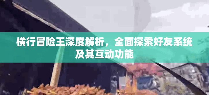 横行冒险王深度解析，全面探索好友系统及其互动功能