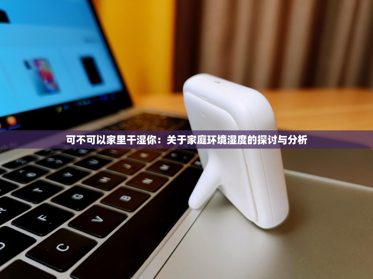 可不可以家里干湿你：关于家庭环境湿度的探讨与分析