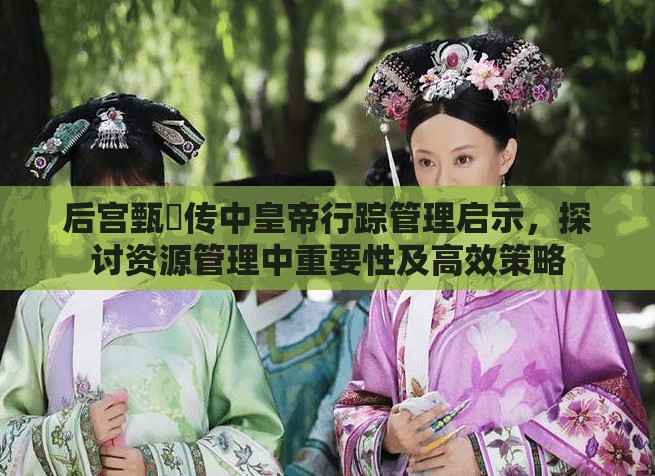 后宫甄嬛传中皇帝行踪管理启示，探讨资源管理中重要性及高效策略