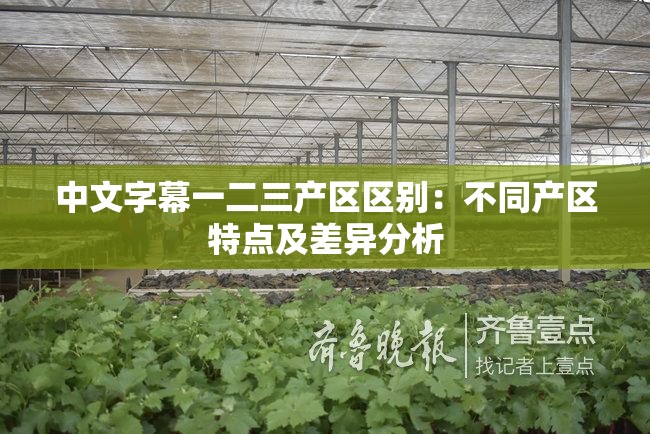 中文字幕一二三产区区别：不同产区特点及差异分析