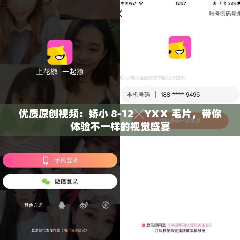 优质原创视频：娇小 8-12╳YXⅩ 毛片，带你体验不一样的视觉盛宴