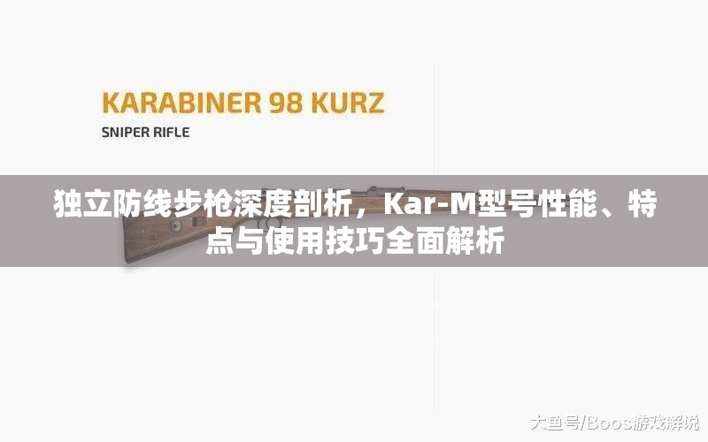 独立防线步枪深度剖析，Kar-M型号性能、特点与使用技巧全面解析
