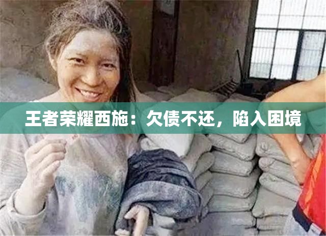 王者荣耀西施：欠债不还，陷入困境