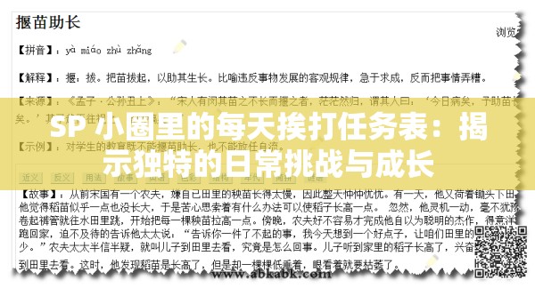 SP 小圈里的每天挨打任务表：揭示独特的日常挑战与成长