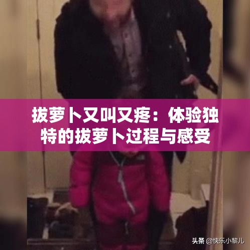 拔萝卜又叫又疼：体验独特的拔萝卜过程与感受