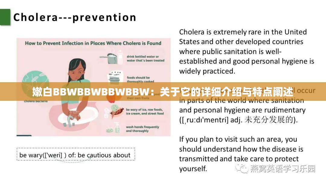 嫩白BBWBBWBBWBBW：关于它的详细介绍与特点阐述