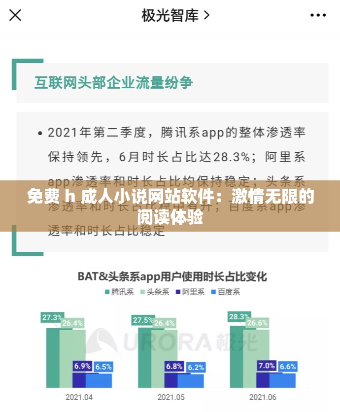 免费 h 成人小说网站软件：激情无限的阅读体验