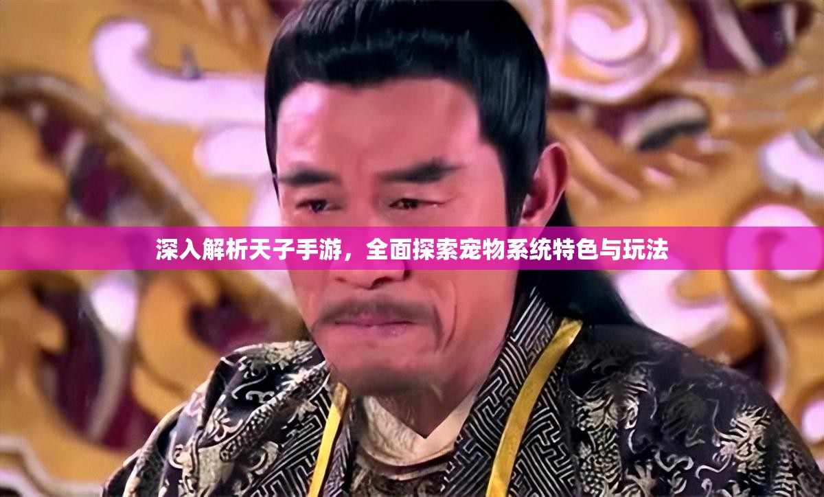 深入解析天子手游，全面探索宠物系统特色与玩法