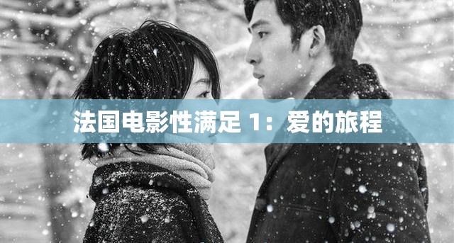 法国电影性满足 1：爱的旅程