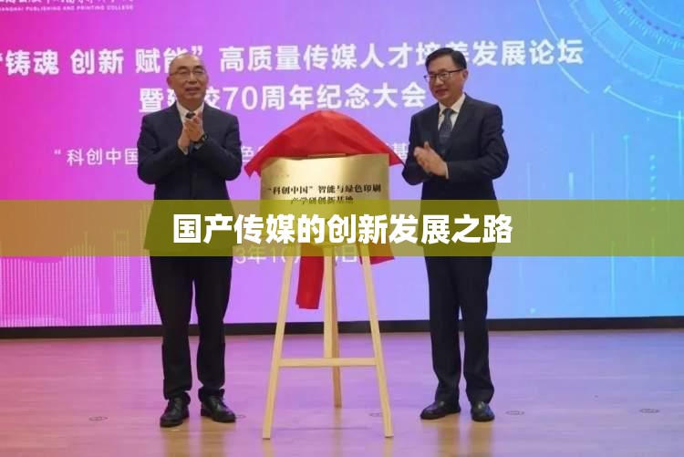 国产传媒的创新发展之路