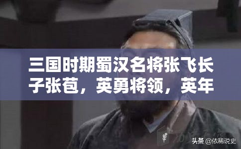 三国时期蜀汉名将张飞长子张苞，英勇将领，英年早逝，事迹传颂