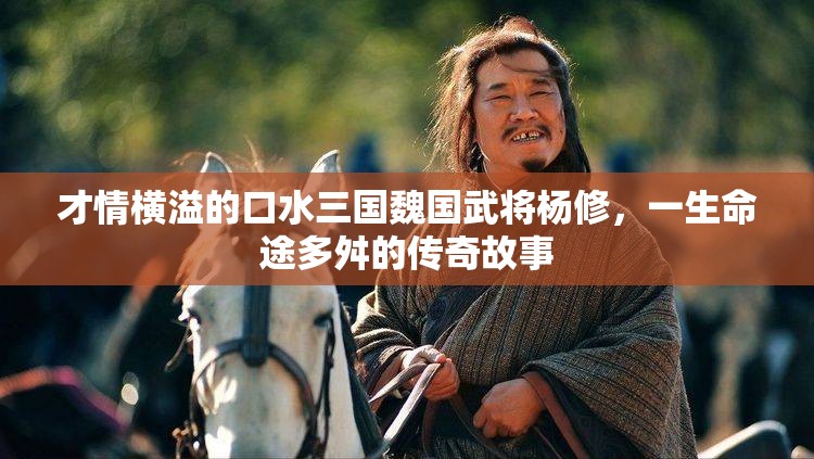 才情横溢的口水三国魏国武将杨修，一生命途多舛的传奇故事