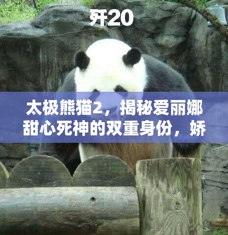 太极熊猫2，揭秘爱丽娜甜心死神的双重身份，娇小身躯蕴藏致命力量