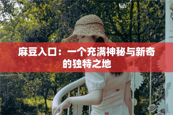 麻豆入口：一个充满神秘与新奇的独特之地