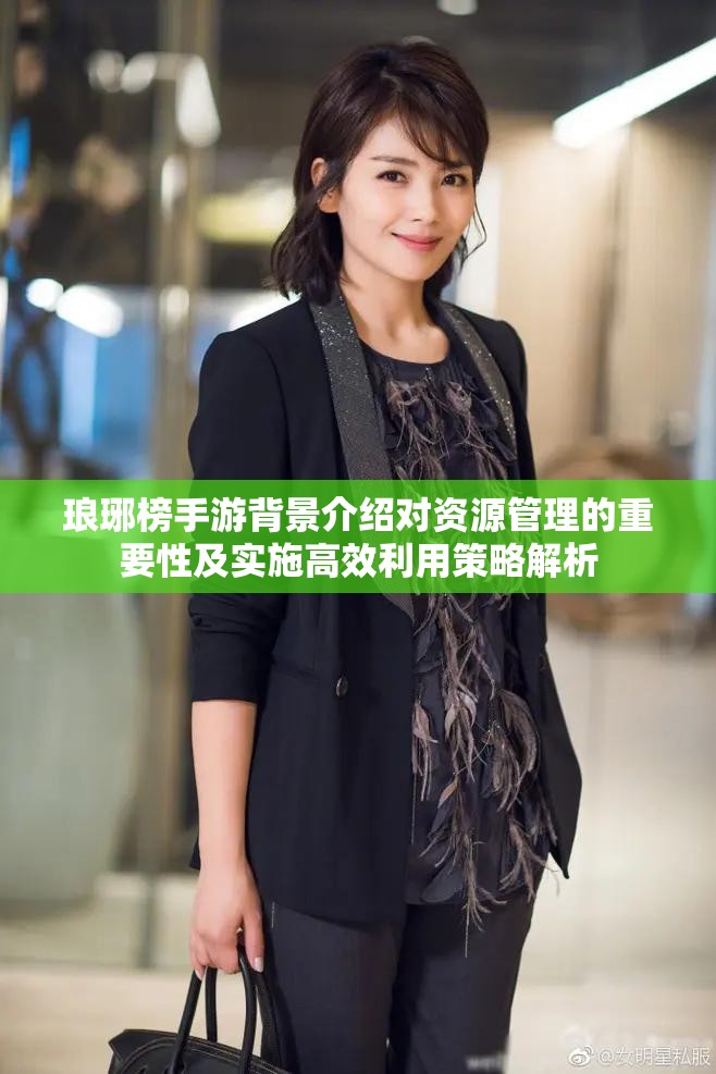 琅琊榜手游背景介绍对资源管理的重要性及实施高效利用策略解析