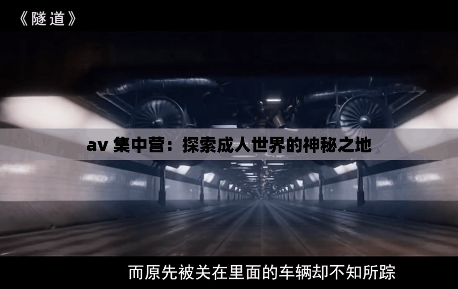 av 集中营：探索成人世界的神秘之地