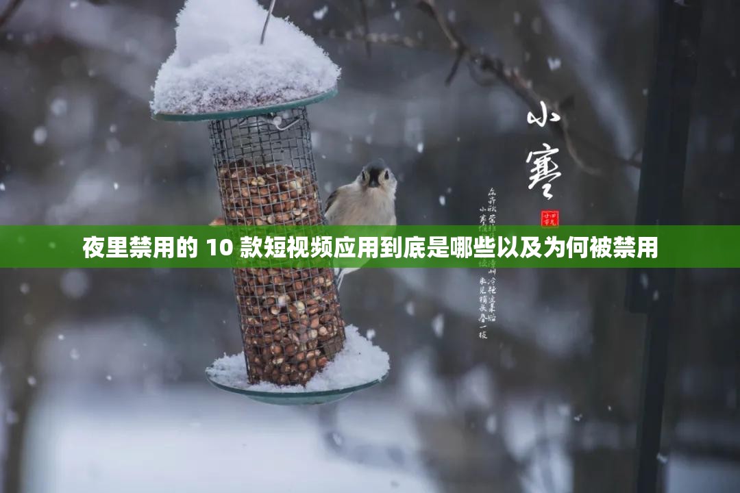 夜里禁用的 10 款短视频应用到底是哪些以及为何被禁用