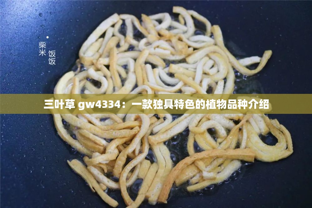 三叶草 gw4334：一款独具特色的植物品种介绍