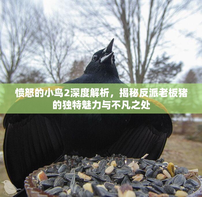 愤怒的小鸟2深度解析，揭秘反派老板猪的独特魅力与不凡之处