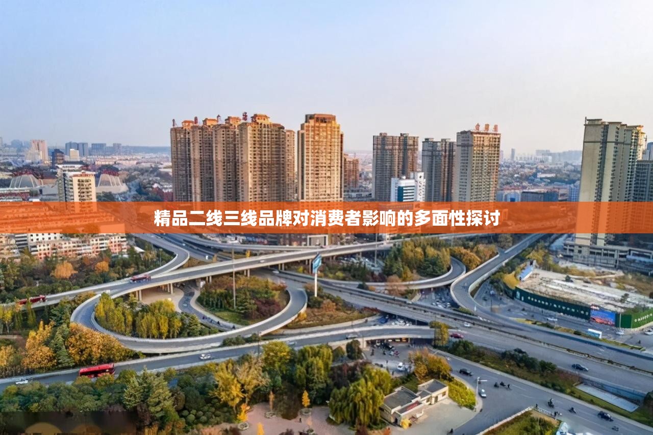 精品二线三线品牌对消费者影响的多面性探讨