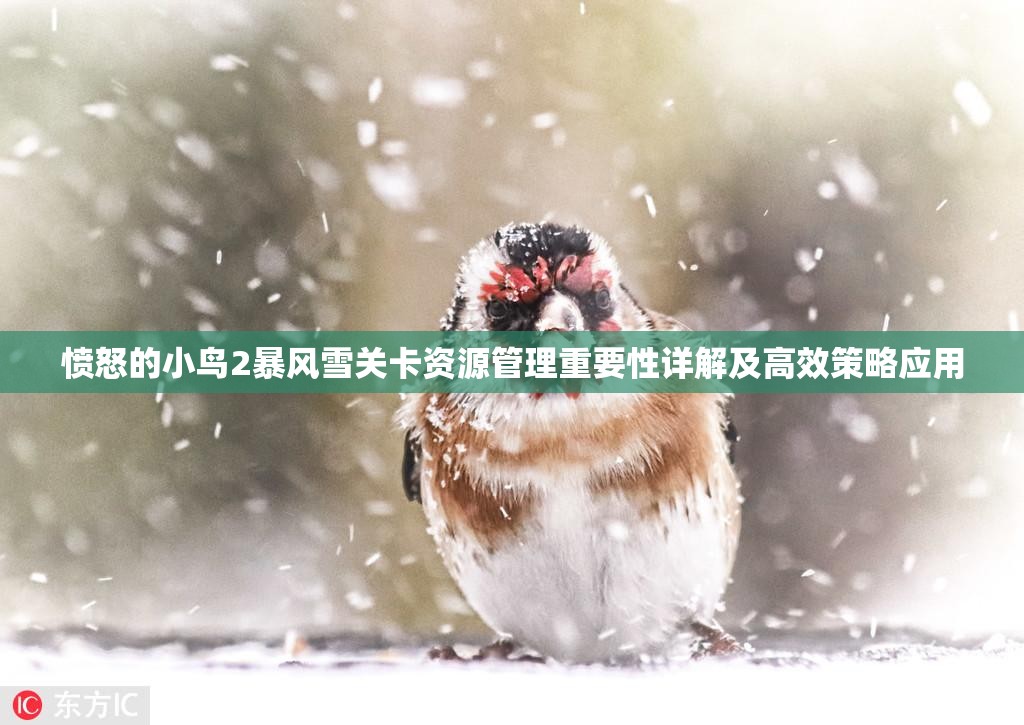 愤怒的小鸟2暴风雪关卡资源管理重要性详解及高效策略应用