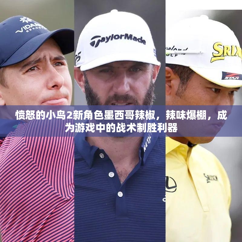 愤怒的小鸟2新角色墨西哥辣椒，辣味爆棚，成为游戏中的战术制胜利器