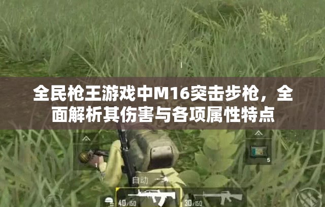 全民枪王游戏中M16突击步枪，全面解析其伤害与各项属性特点