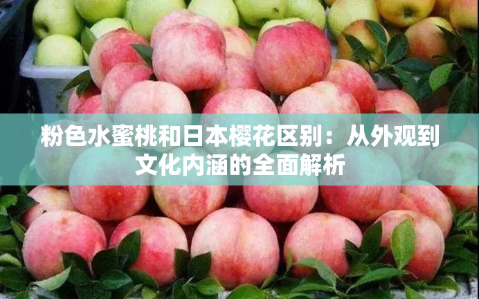 粉色水蜜桃和日本樱花区别：从外观到文化内涵的全面解析