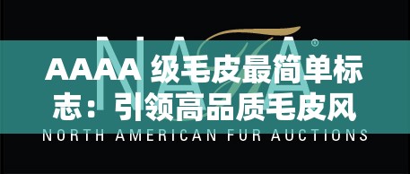 AAAA 级毛皮最简单标志：引领高品质毛皮风尚